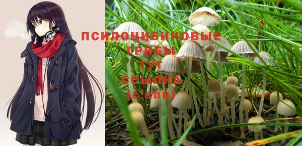 а пвп мука Михайлов