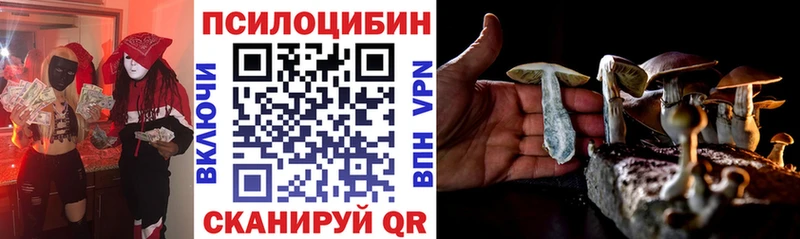 где купить наркоту  Калач  Псилоцибиновые грибы ЛСД 