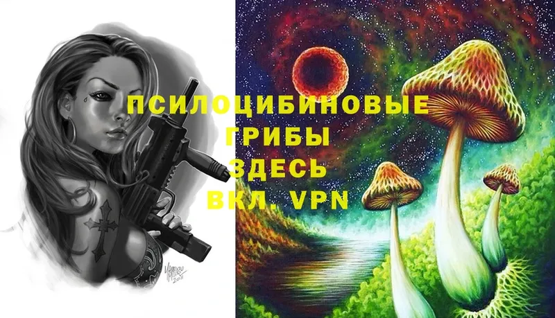 Псилоцибиновые грибы Psilocybe  Калач 